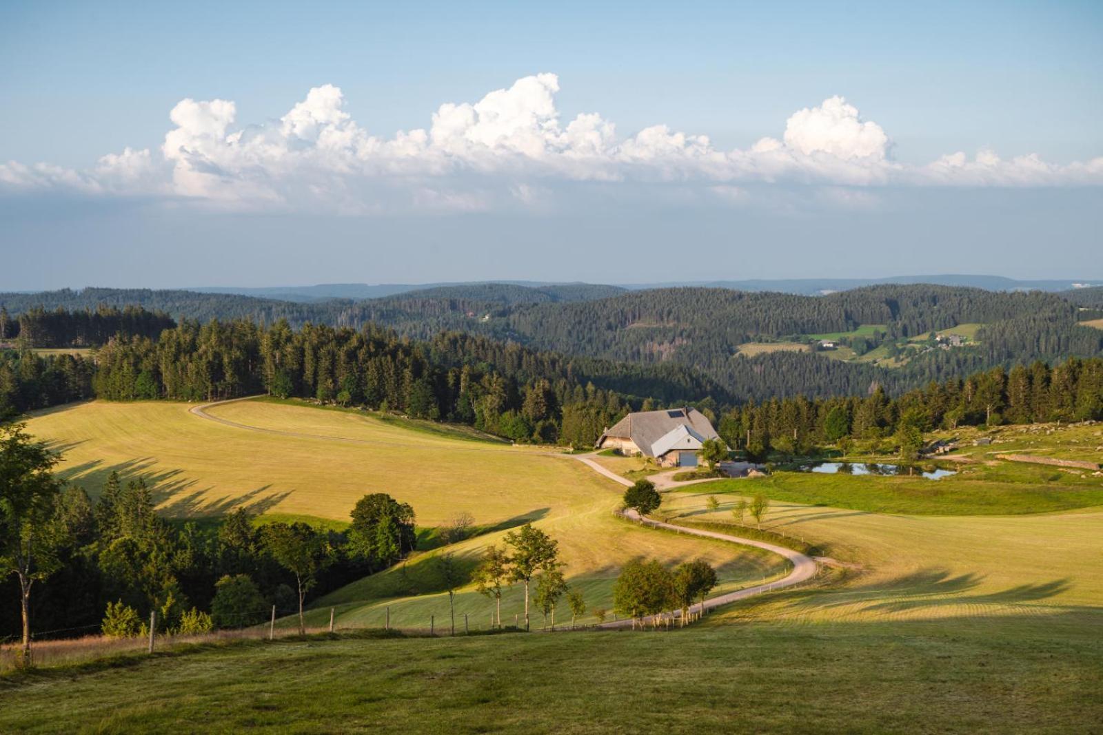 Landhaus Panoramablick Schonach im Schwarzwald Εξωτερικό φωτογραφία