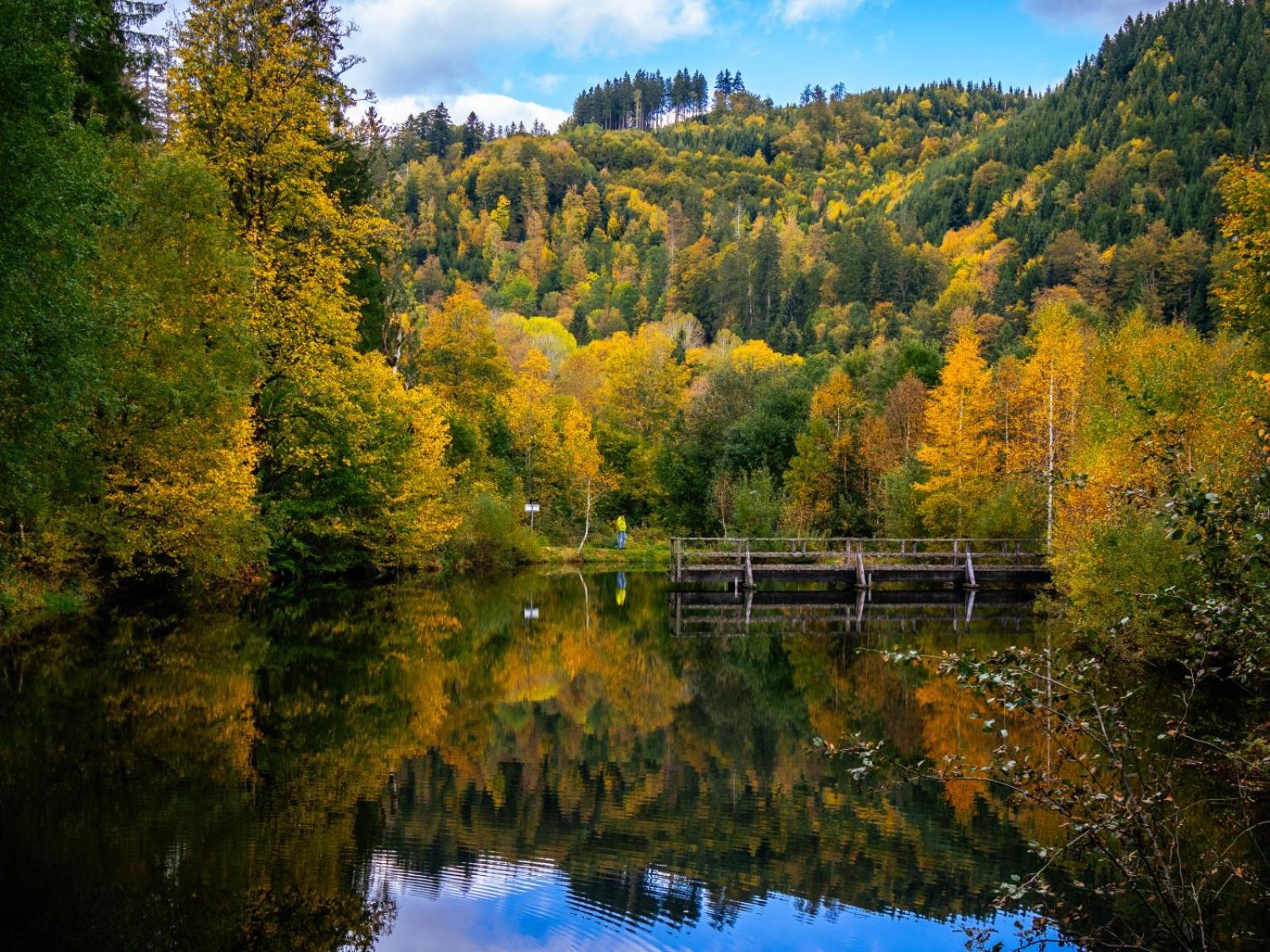 Landhaus Panoramablick Schonach im Schwarzwald Εξωτερικό φωτογραφία