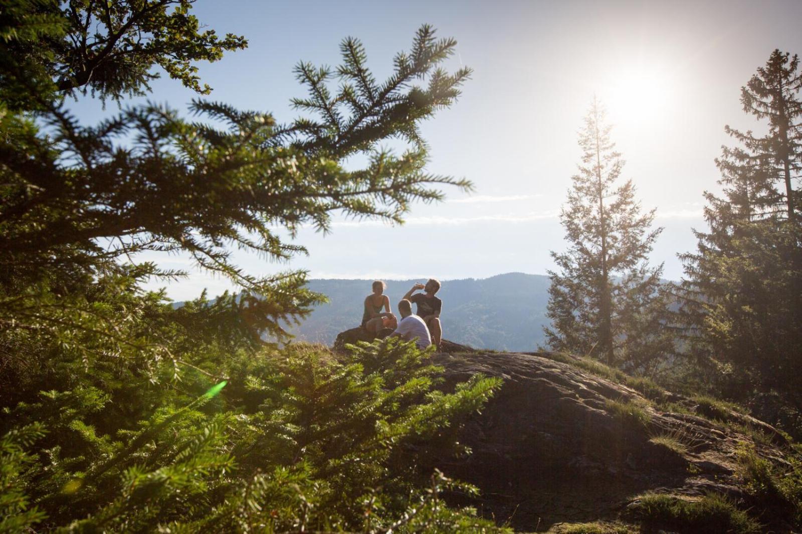 Landhaus Panoramablick Schonach im Schwarzwald Εξωτερικό φωτογραφία